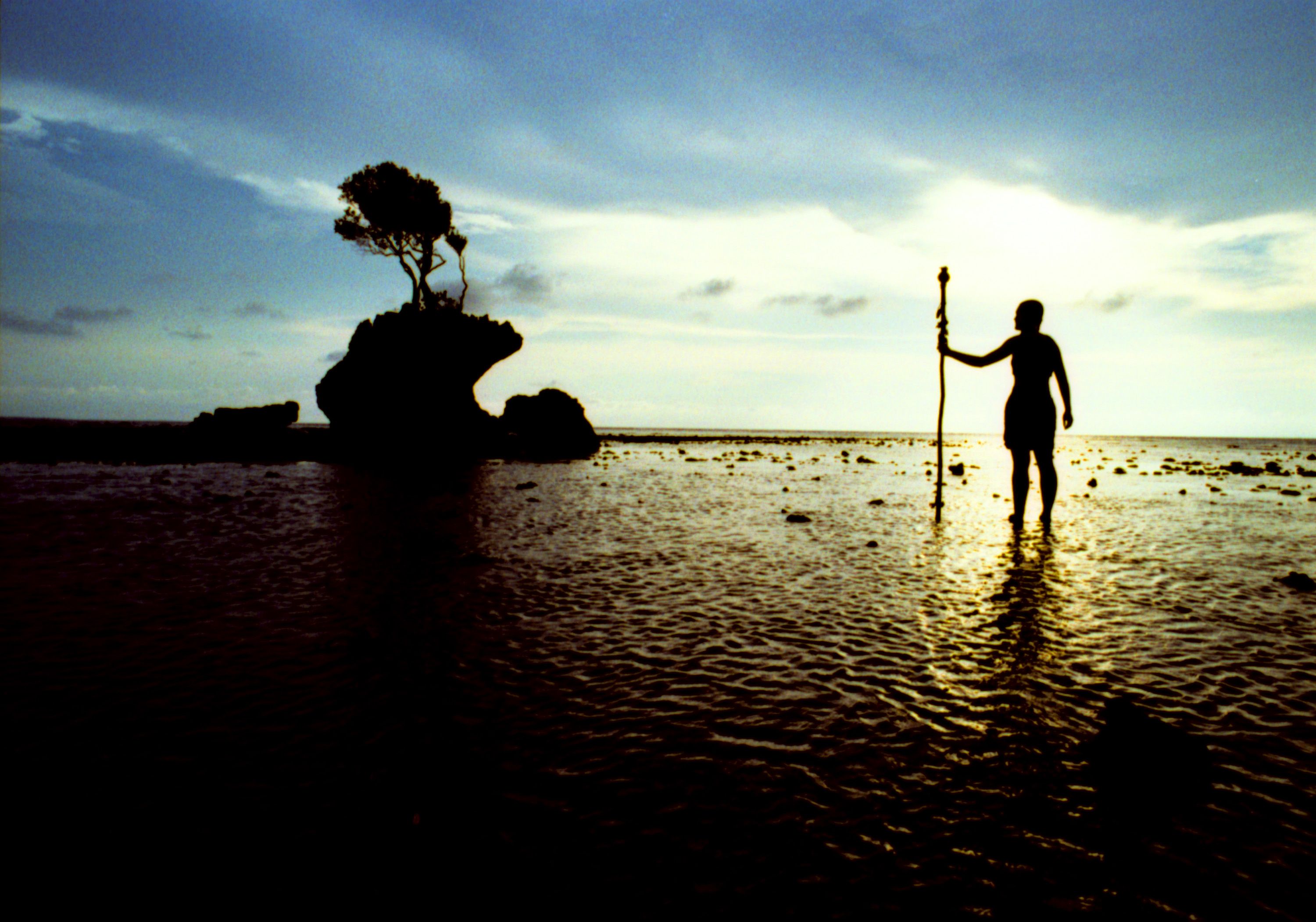 home page transition